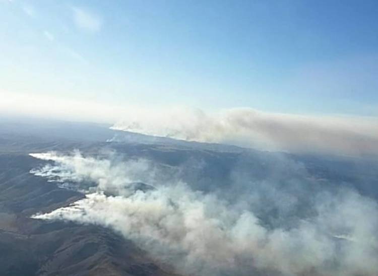 Riesgo extremo de incendios: esperan vientos fuertes y escasa visibilidad