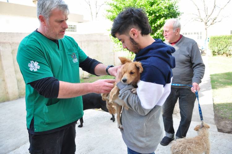 El municipio retoma desde mañana miércoles la Campaña de Vacunación Antirrábica