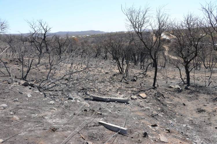 La Provincia declaró el desastre agropecuario por incendios