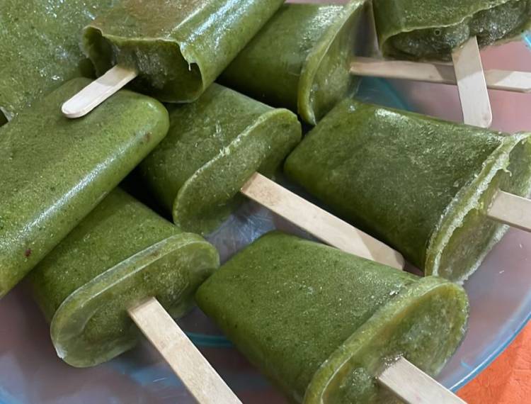 Alta Gracia: estudiantes innovan en la elaboración de helados de clorofila