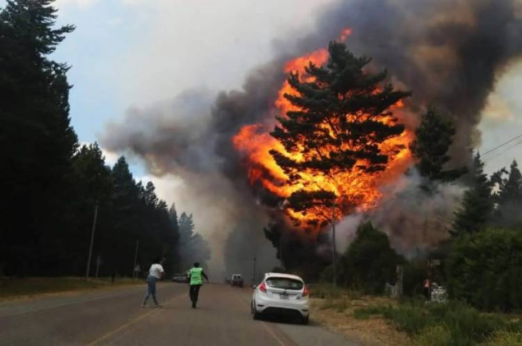 En medio de la ola de incendios forestales, renunció la subsecretaria de Ambiente de la Nación