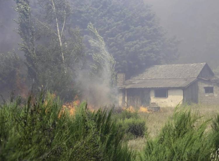 El nuevo subsecretario de Ambiente reconoció que el Gobierno falló en la prevención de incendios