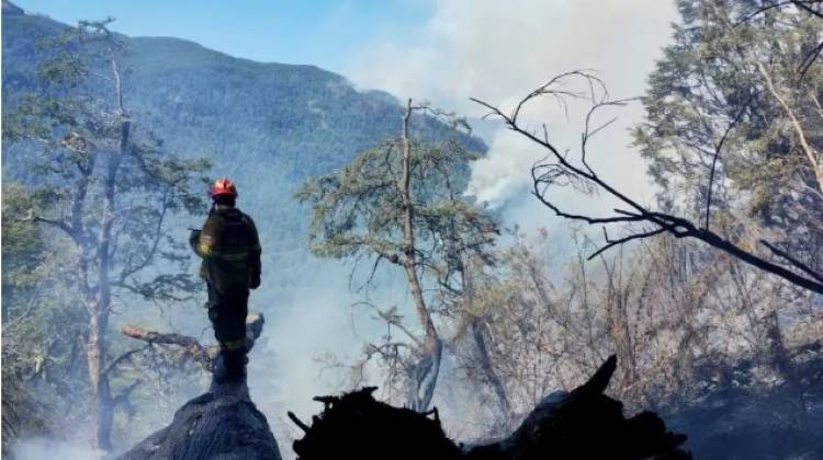 Mientras se quemaba la Patagonia, el Gobierno demoró dos meses en publicar la licitación para comprar mangueras