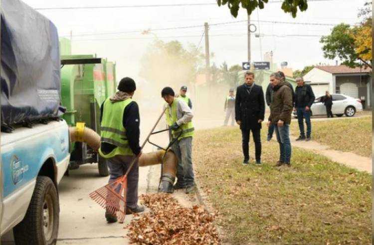 Campaña de recolección de hojas: arranca este viernes en barrio Sarmiento
