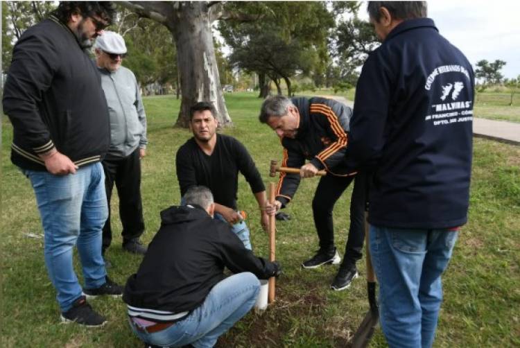 Con ayuda de Veteranos de Malvinas, se plantaron 40 árboles en la Costanera Norte