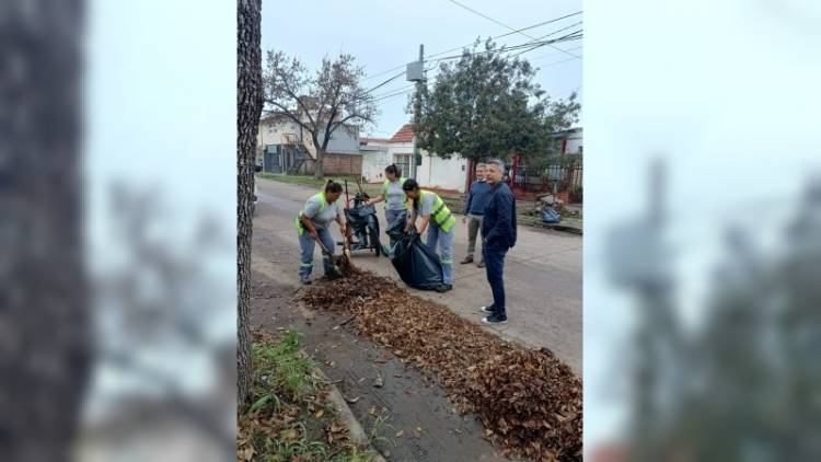 El municipio avanza con la campaña de recolección de hojas en todos los barrios