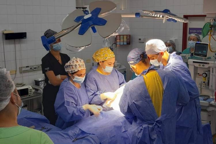 Día Nacional de la donación de órganos y tejidos: una decisión que puede salvar vidas