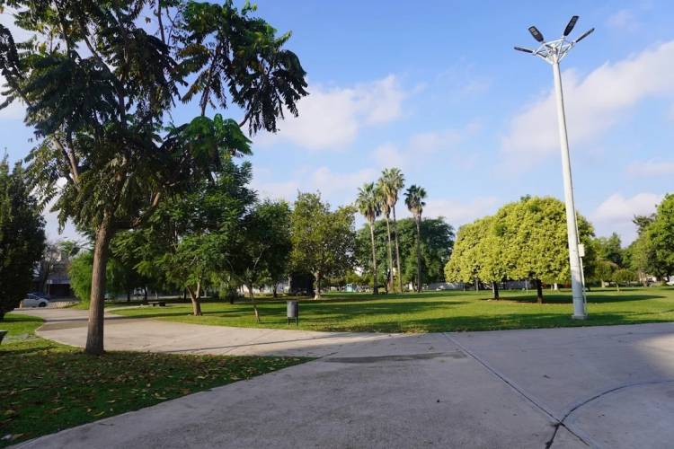 Música en evolución se muda al Jardín Botánico el "finde"