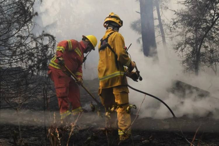 Unas 3.772 hectáreas fueron arrasadas durante los incendios en la Quebrada del Condorito y Villa Giardino