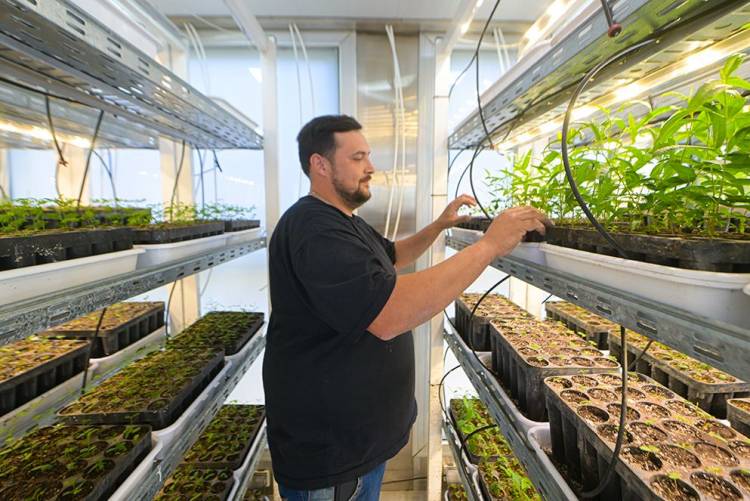 Gen Nativo: Cómo funciona el “multiplicador” de árboles para forestar campos cordobeses