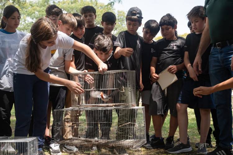 San Justo: Liberaron 37 ejemplares de fauna silvestre