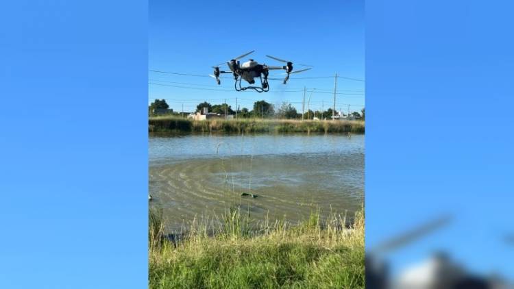 Avanza en San Francisco el plan de prevención y control del Dengue