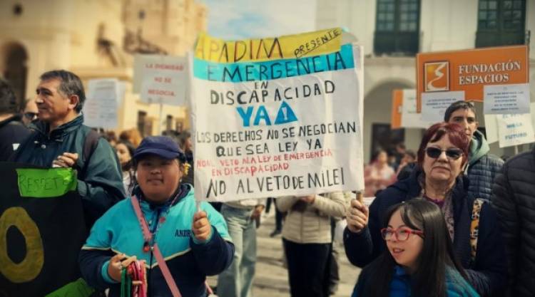 Emergencia en discapacidad: reclaman sanciones para el gobierno de Milei por el incumplimiento de la Ley
