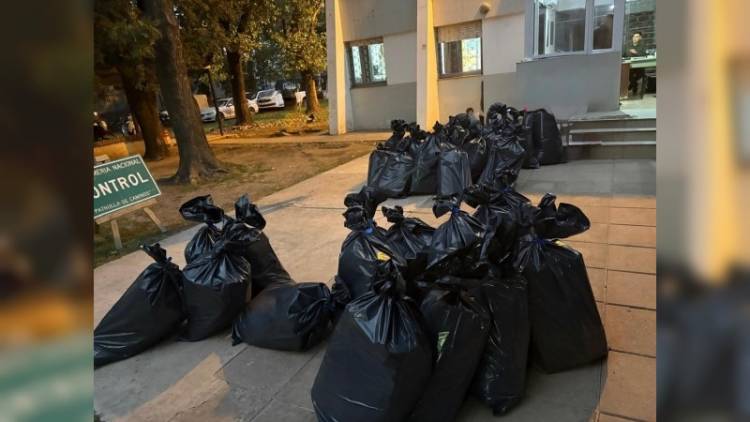 Gendarmería incautó una tonelada de sábalos trasladados de manera irregular en un camión